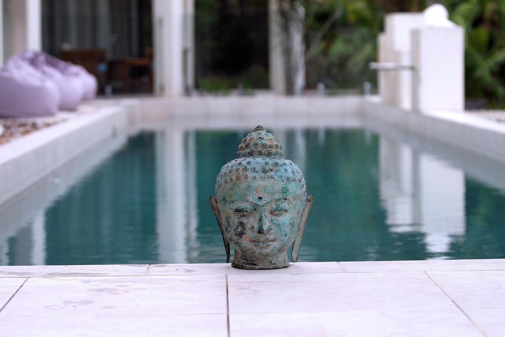 Alaya Verde Bed & Breakfast Ringtail Creek Phòng bức ảnh